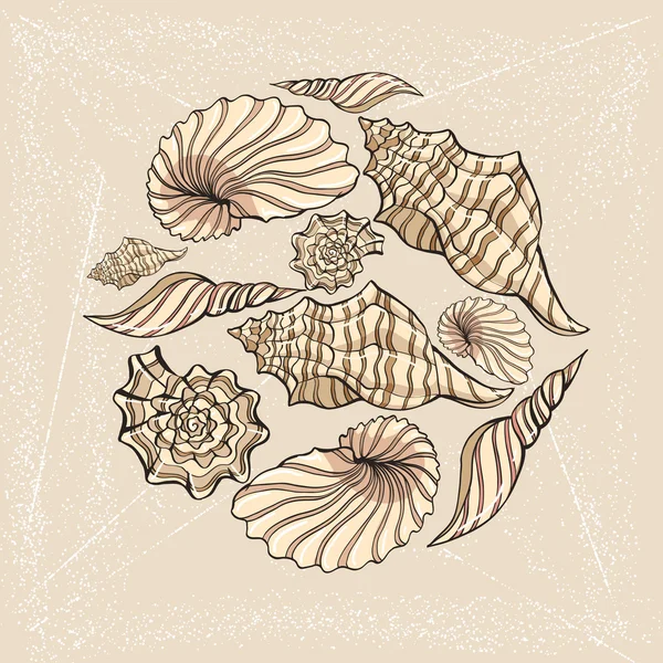 Boceto de concha marina 15 — Vector de stock