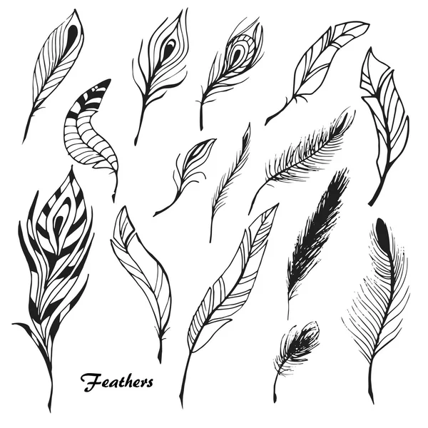 Feathers set 0 — Stock Vector