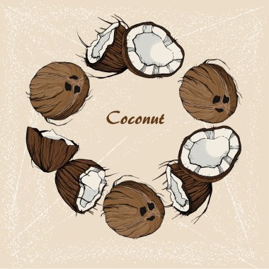 Hindistan cevizi el çekilmiş 6