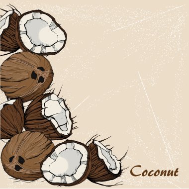 Hindistan cevizi el çekilmiş 5