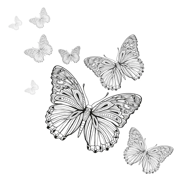 Mariposa. — Vector de stock