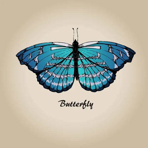 Butterfly 6 — Stock Vector