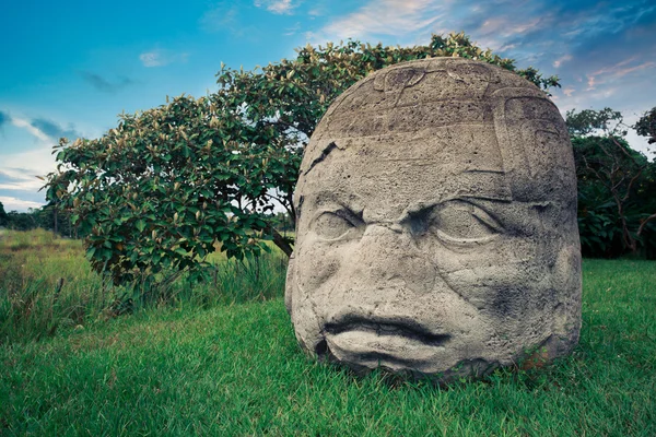 Olmec devasa kafa — Stok fotoğraf