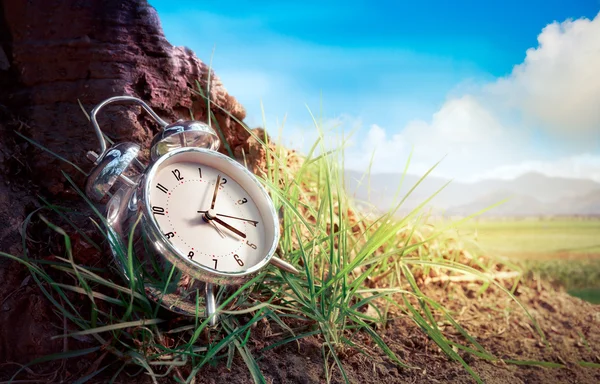 Reloj despertador en hierba — Foto de Stock