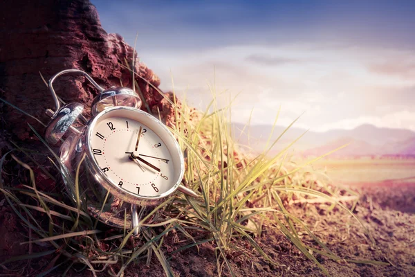 Alarm clock on grass at sunset — Stock Photo, Image