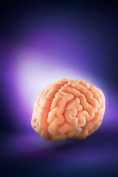 Cerebro humano, concepto de pensamientos — Foto de Stock