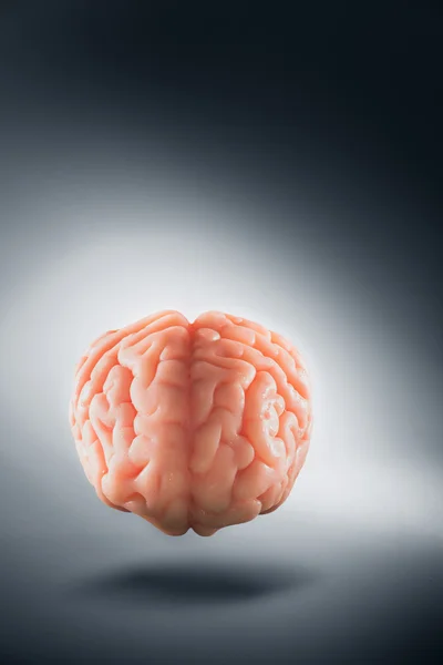 Mänskliga hjärnan, tankar koncept — Stockfoto