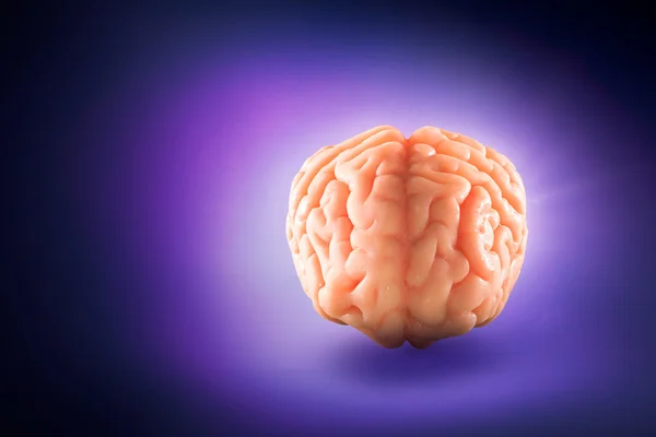 Cerebro humano, concepto de pensamientos — Foto de Stock