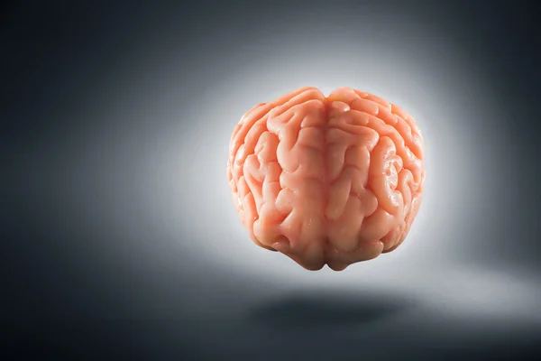 Mänskliga hjärnan, tankar koncept — Stockfoto