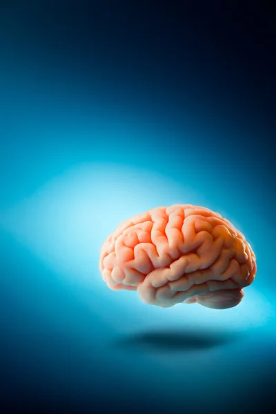 Cerebro, concepto de pensamientos — Foto de Stock