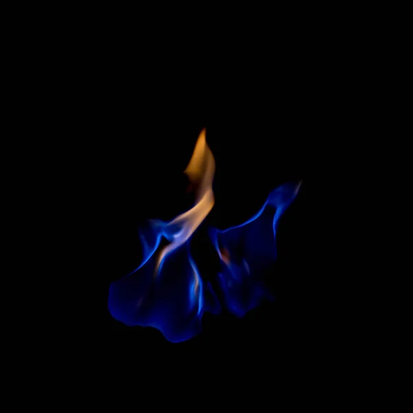 Oheň Modrá Horká Černém Pozadí — Stock fotografie