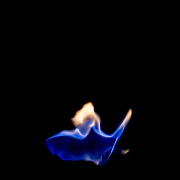 Fuego Azul Caliente Sobre Fondo Negro — Foto de Stock