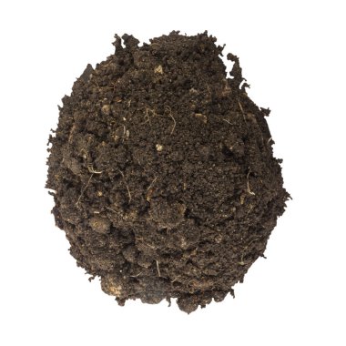 soil closeup isolated on white background. clipart