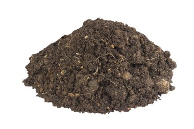 toprak yakın plan beyaz zemin üzerinde izole.