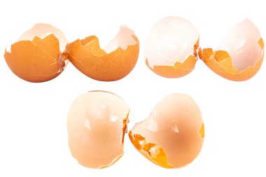 Broken chicken eggshell on white background.