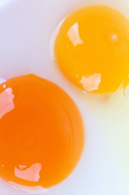 Close up duck egg yolk and chicken egg yolk together in one bowl on white background.