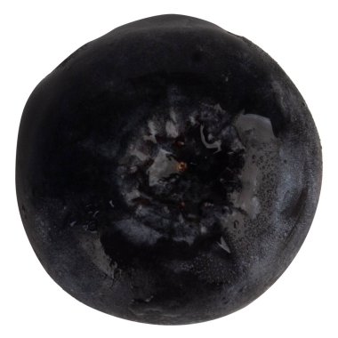 beyaz arka planda böğürtlen meyvesi.