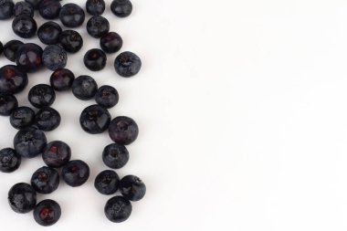 beyaz arkaplana dağılmış yabanmersinleri..