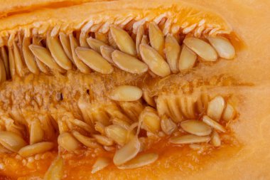 Kavun desenli arka plan hamur yiyeceği.