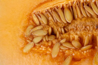 Kavun desenli arka plan hamur yiyeceği.