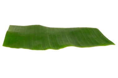 Beyaz arkaplanda muz yaprağı izole.