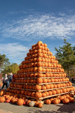 KLAISTOW, GERMANY - 22 Ekim 2020: Berlin-Brandenburg 'un Klaistow' daki en büyük balkabağı sergisi bir sarı balkabağı piramidi sunar. Güneşli bir sonbahar gününde balkabağı arkaplanı. Sağlık ve beslenme kavramı.