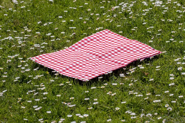 Red Picnic Blanket Red Checkered Picnic Cloth Flowering Meadow Daisy — Stock Photo, Image