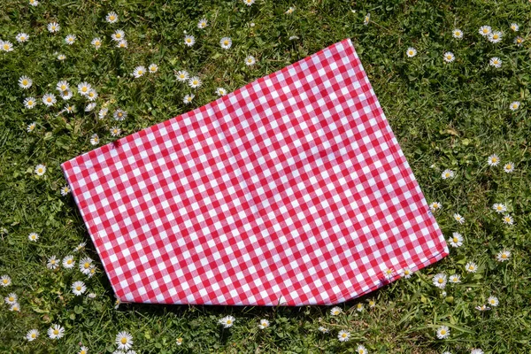 Kırmızı Piknik Masa Örtüsü Kırmızı Kareli Piknik Battaniyesi Çiçek Açmış — Stok fotoğraf
