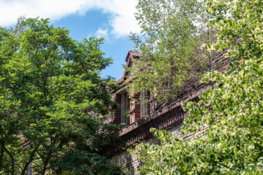 BEELITZ, GERMANY - 30 Haziran 2020: Çok etkileyici bir kayıp yerin, Berlin yakınlarındaki ünlü terk edilmiş hastanenin ve sanatoryumun eski bir binasına odaklanın. Ağaçlar büyür pencerelerden ve çatılardan.