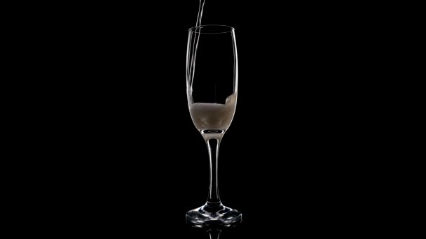 シャンパンをグラスに入れる。黒を基調としたスパークリングワイン. — ストック動画