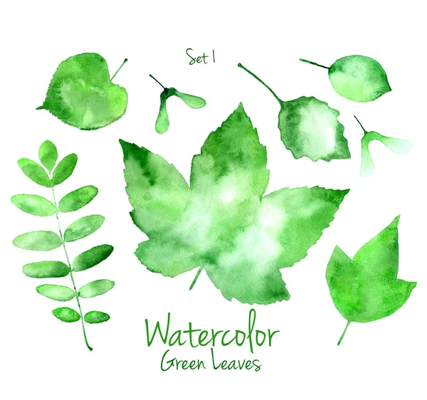 Set of green watercolor leaves — Stock Photo, Image