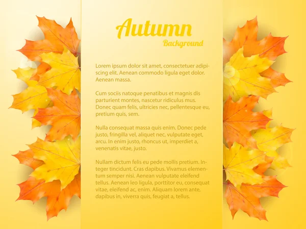 Herbst Hintergrund mit realistischen Ahornblätter — Stockvektor