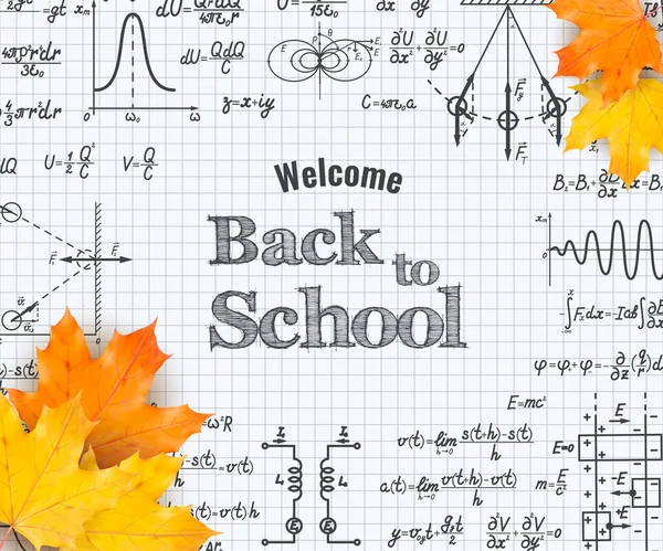 ¡Bienvenido de nuevo a la escuela con la fórmula en el cuaderno. — Archivo Imágenes Vectoriales