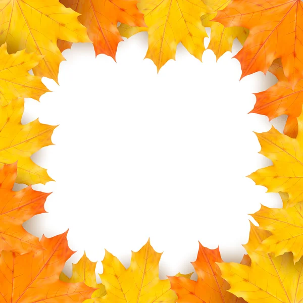 Herbst Ahorn Blätter auf weißem Hintergrund — Stockvektor