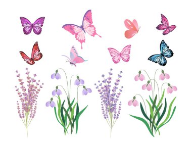 Uçan kelebekli, gül kalçalı, yapraklı ve beni unutma illüstrasyonlu çiçek elementleri koleksiyonu..