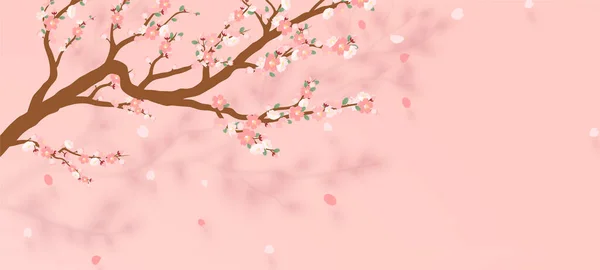 Цветущая ветвь сакуры - японская вишня с падающим лепестком. Вишнево-розовое - фиолетовое, изолированное на белом фоне. Векторная иллюстрация. — стоковый вектор