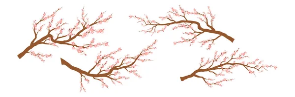 Conjunto de ramas de árboles florecientes de primavera, rama de árboles con flores rosadas. Sakura o cereza. — Vector de stock