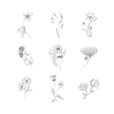 El yapımı çiçek ve bitki koleksiyonu. Robot resim biçiminde tek renkli vektör çizimleri.