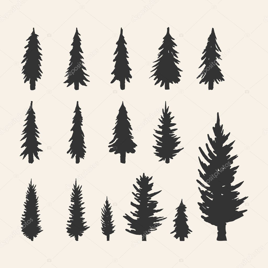 Vector silhouette of different pine trees. Can be used as poster, badge, emblem, banner, icon, sign, decor.
