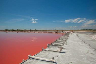 Kherson bölgesindeki Kinburn tükürüğünün yanındaki pembe göl.