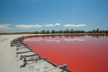 Kherson bölgesindeki Kinburn tükürüğünün yanındaki pembe göl.