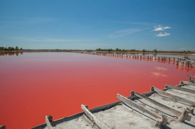Kherson bölgesindeki Kinburn tükürüğünün yanındaki pembe göl.