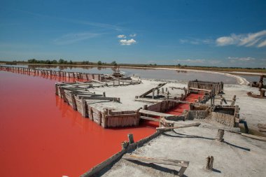 Kherson bölgesindeki Kinburn tükürüğünün yanındaki pembe göl.