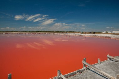 Kherson bölgesindeki Kinburn tükürüğünün yanındaki pembe göl.