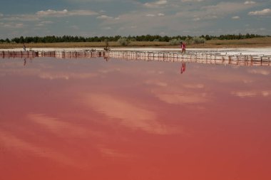 Kherson bölgesindeki Kinburn tükürüğünün yanındaki pembe göl.