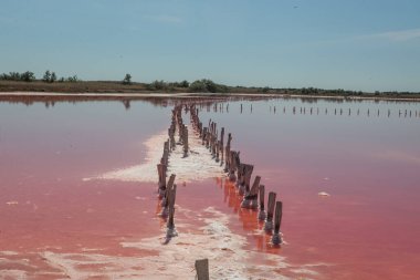 Kherson bölgesindeki Kinburn tükürüğünün yanındaki pembe göl.