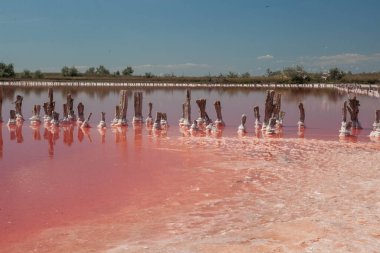 Kherson bölgesindeki Kinburn tükürüğünün yanındaki pembe göl.