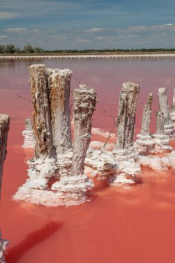 Kherson bölgesindeki Kinburn tükürüğünün yanındaki pembe göl.