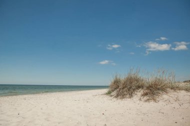 Yazın mavi gökyüzüne karşı ıssız deniz kıyısında