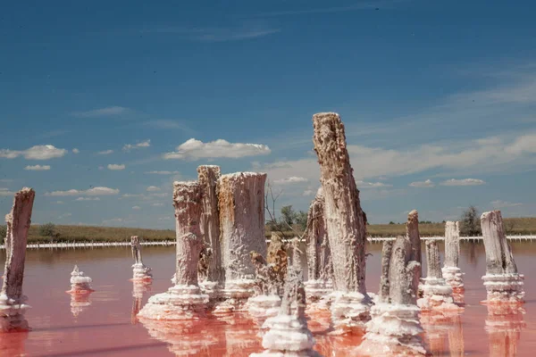 Kherson bölgesindeki Kinburn tükürüğünün yanındaki pembe göl.